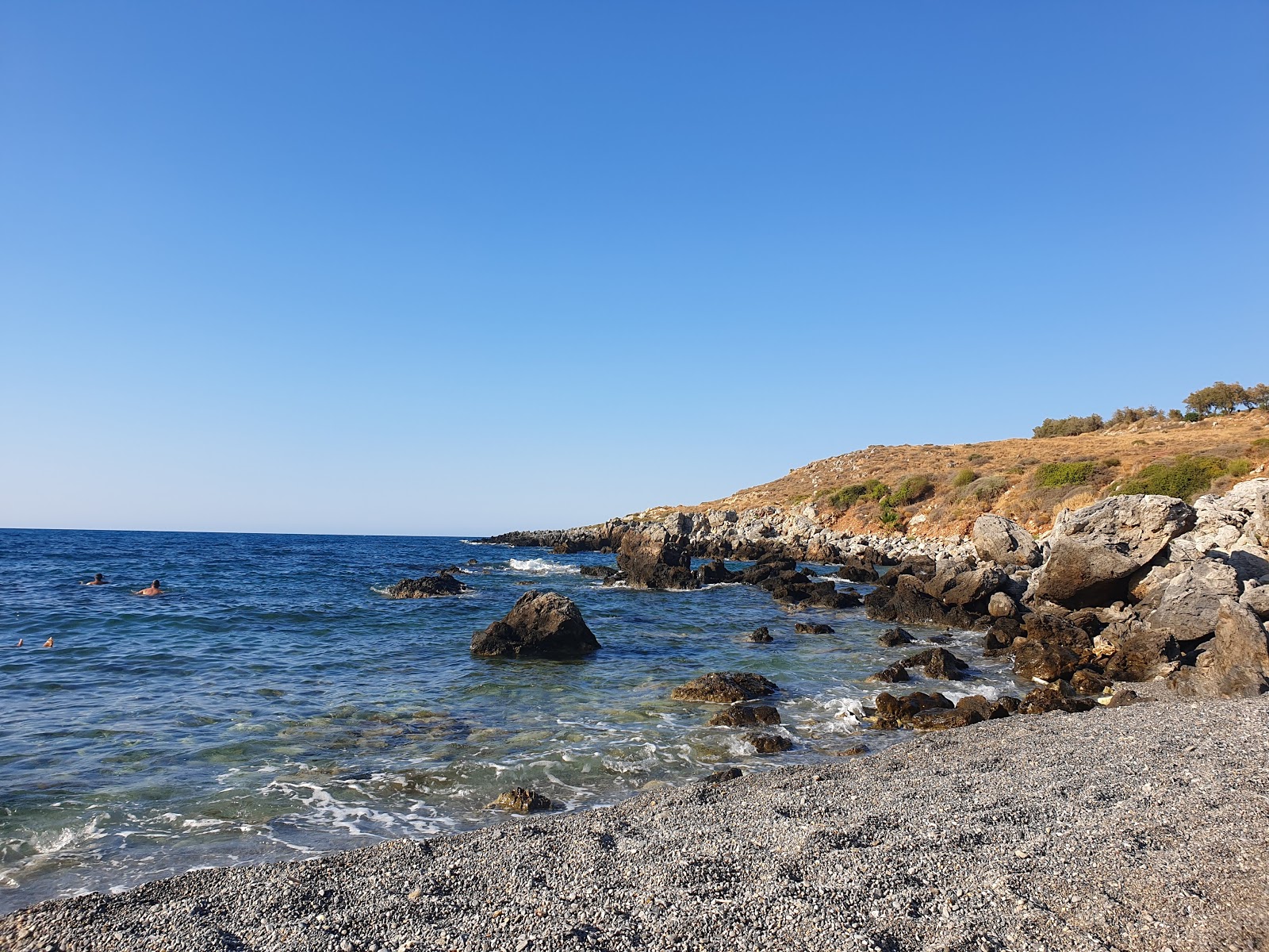 Fotografija Seabed Beach nahaja se v naravnem okolju