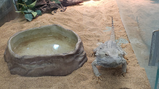 Pet Supply Store «Kahoots Pet Store», reviews and photos, 334 W El Norte Pkwy, Escondido, CA 92026, USA