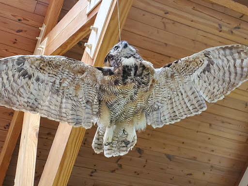 Nature Preserve «Three Lakes Park & Nature Center», reviews and photos, 400 Sausiluta Dr, Richmond, VA 23227, USA