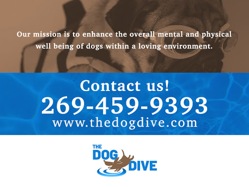 Pet Store «The Dog Dive», reviews and photos, 1613 Riverview Dr, Kalamazoo, MI 49004, USA