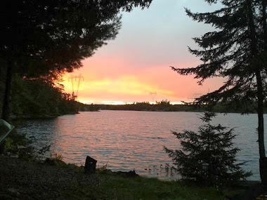 Camp Driftwood