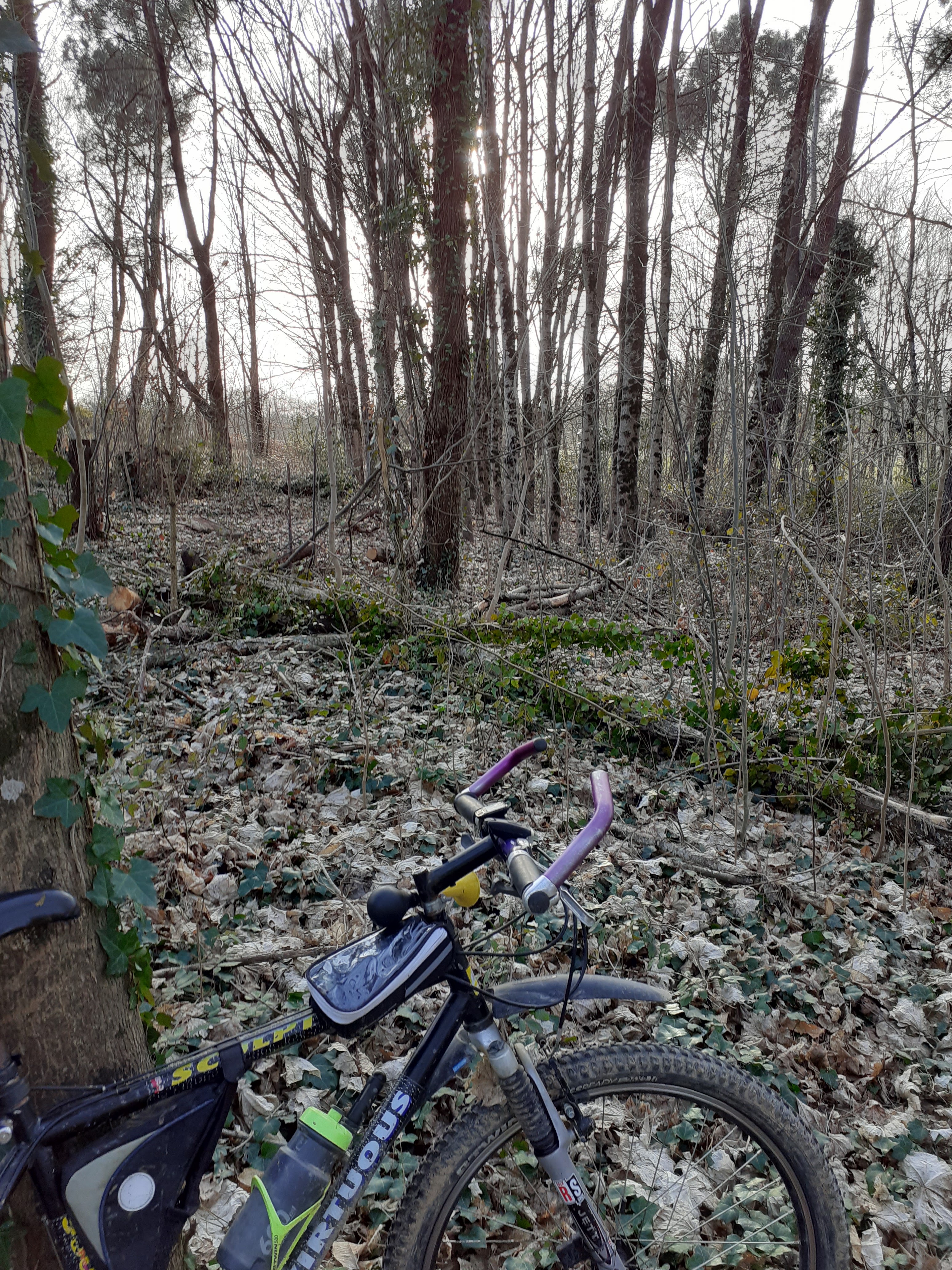 Photo n° 4 de l'avis de Marc.o fait le 23/04/2023 à 13:11
