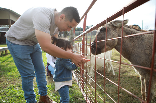 Wedding Venue «Rancho Alegre Farm», reviews and photos, 2225 Givens Rd, Dacula, GA 30019, USA