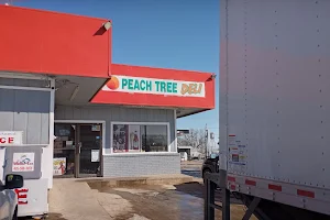Peach Tree Junction image