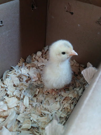 Western Apparel Store «Sunset Country & Western Wear», reviews and photos, 16300 SW 296th St, Homestead, FL 33033, USA