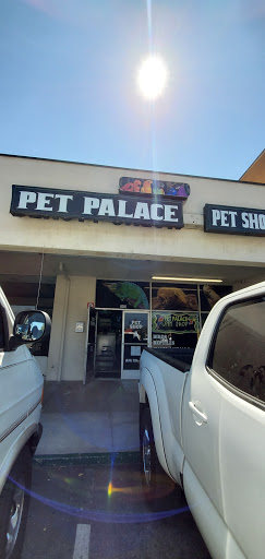 Reptile Store «Pet Palace», reviews and photos, 1442 N Hollenbeck Ave, Covina, CA 91722, USA