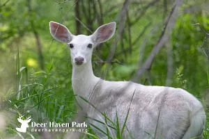 Deer Haven Park, LLC image