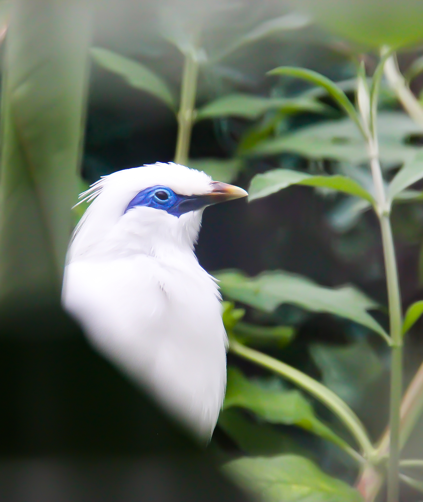 Photo n° 7 de l'avis de Cynthia.l fait le 21/07/2022 à 17:10