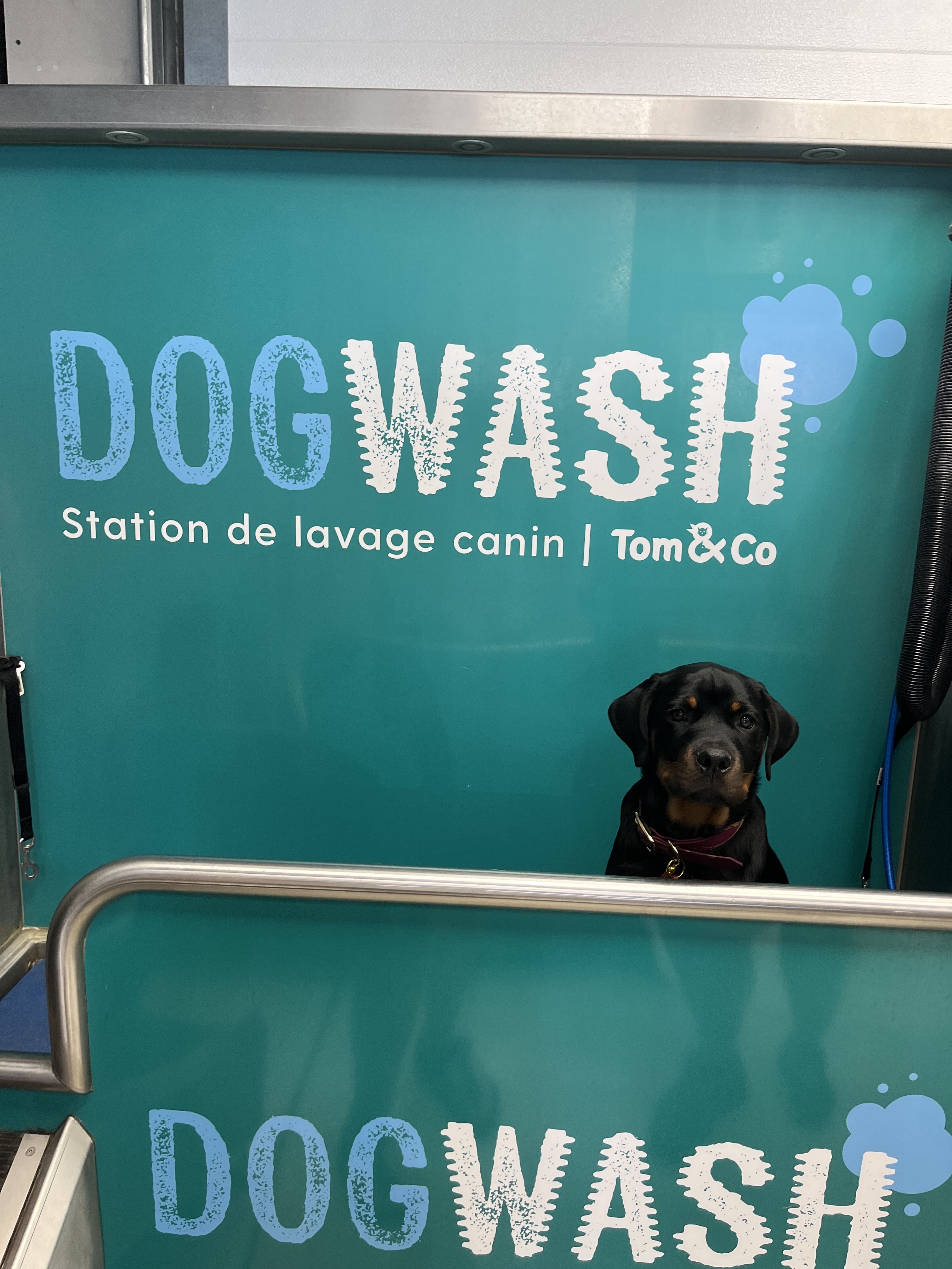 Photo n° 1 de l'avis de Oceane.O fait le 08/07/2023 à 13:53