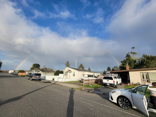 Premier shine auto detailing en Eureka