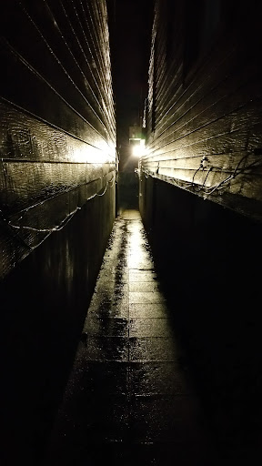 Park «Virginia Park», reviews and photos, 1878 Cross Bronx Expy, Bronx, NY 10472, USA