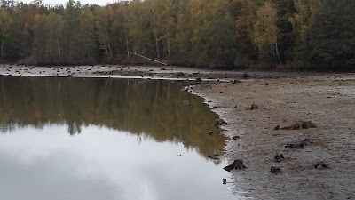 Piscine des 7 chevaux à Luxeuil-les-Bains