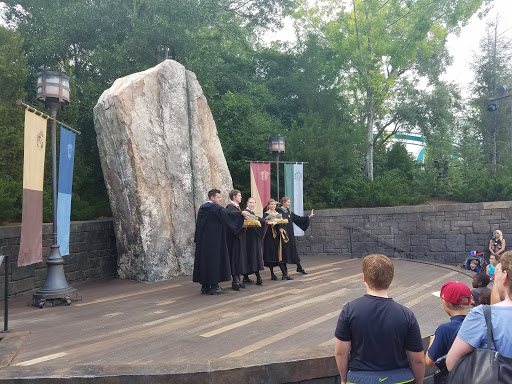 Roller Coaster «Dragon Challenge», reviews and photos, 6000 Universal Blvd, Orlando, FL 32819, USA