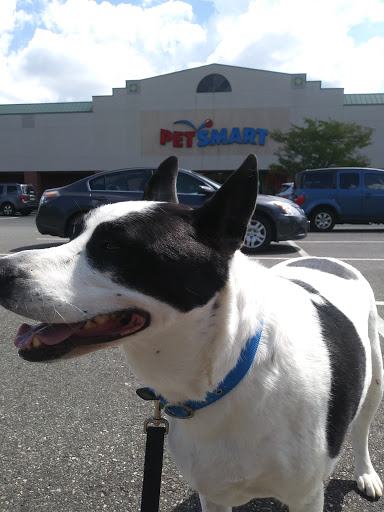 Pet Supply Store «PetSmart», reviews and photos, 420 Consumer Square, Mays Landing, NJ 08330, USA