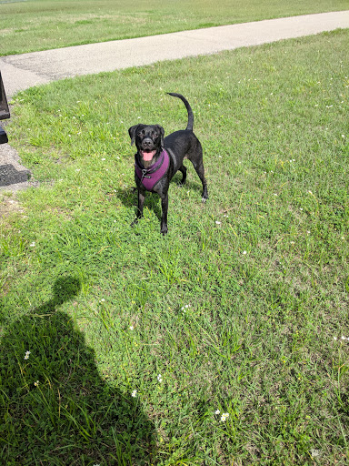 Golf Course «Clear Creek Golf Club», reviews and photos, 3902 Fellows Rd, Houston, TX 77047, USA