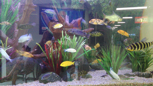 Car Wash «Waterworks Car Wash», reviews and photos, 276 Broadway, Denver, CO 80203, USA