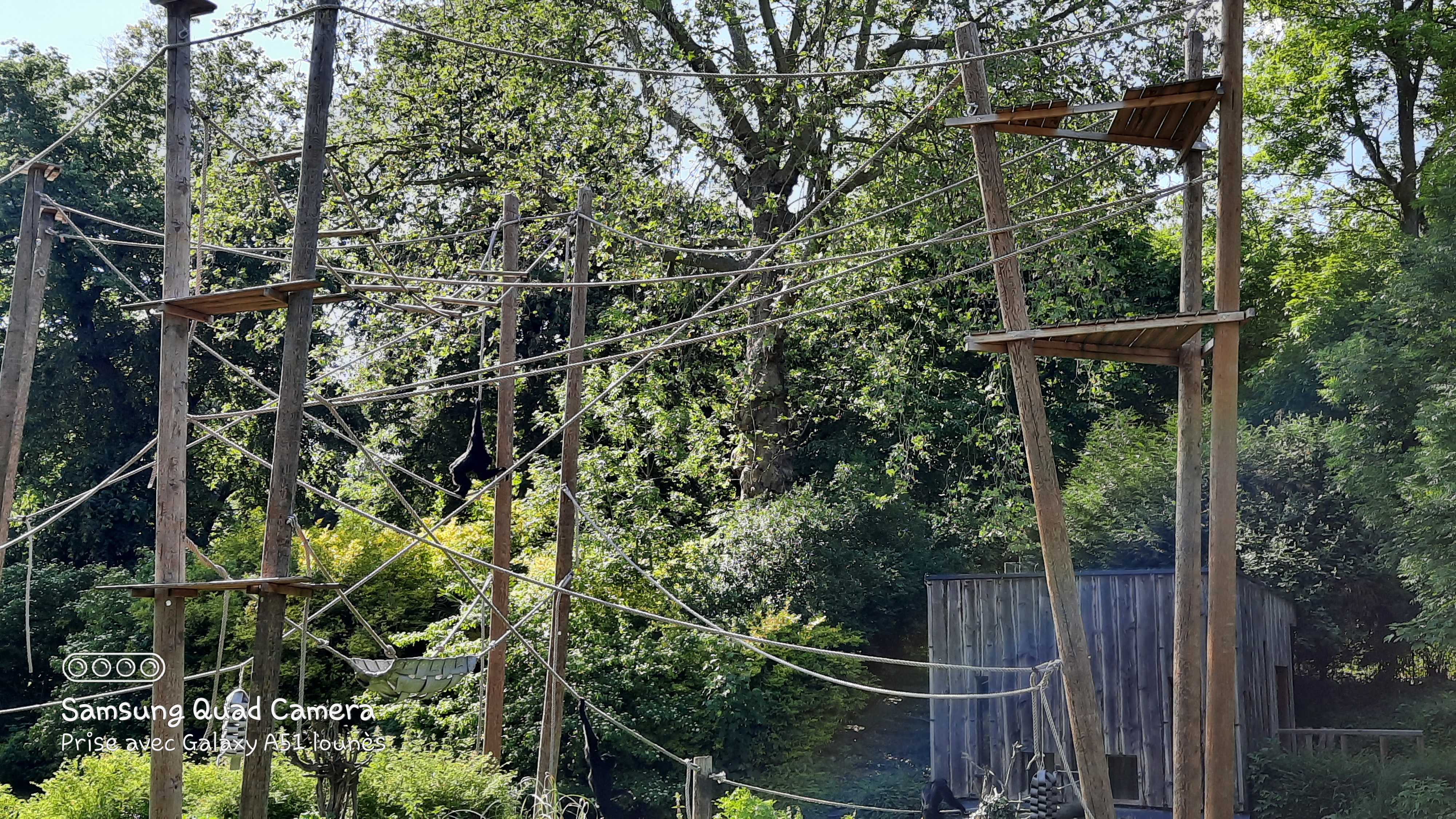 Photo n° 20 de l'avis de Lounes. fait le 02/06/2021 à 21:26