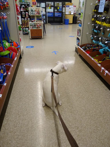 Pet Supply Store «PetSmart», reviews and photos, 145 Witchwood Dr, North Wales, PA 19454, USA