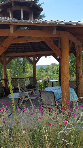 Nature Preserve «Gazzam Lake Nature Preserve», reviews and photos, 6105 NE Marshall Rd, Bainbridge Island, WA 98110, USA