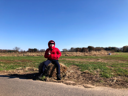 Produce Market «Solly Brothers», reviews and photos, 707 Almshouse Rd, Warminster, PA 18974, USA