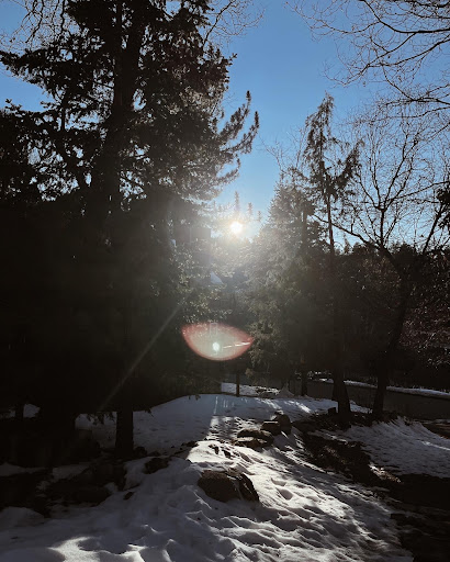 Big Bear Lakefront Cabins & Best Mountain Vacation Rentals image