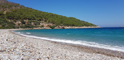 Potamoi beach'in fotoğrafı biraz temiz temizlik seviyesi ile