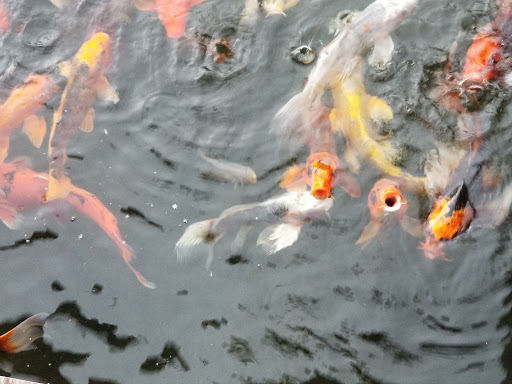 Event Planner «Boulder Falls Center», reviews and photos, 605 Mullins Dr, Lebanon, OR 97355, USA