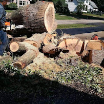 Tamayo landsacaping & brick patios - Photo 8 - Car repair in Antioch, IL, Round Lake Beach