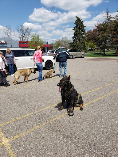 Pet Store «Feed Rite Pet Shop & Supply», reviews and photos, 11760 Belleville Rd, Belleville, MI 48111, USA