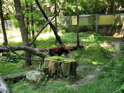 Zoo «Prospect Park Zoo», reviews and photos, 450 Flatbush Ave, Brooklyn, NY 11225, USA