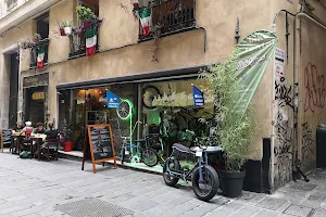 Bike Fever- Bike shop and rental image