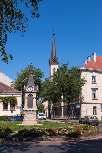 Értékelések erről a helyről: Soproni Isteni Megváltóról Nevezett Nővérek Szeplőtelen Fogantatás Jézus Szíve templom, Sopron - Templom