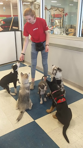 Pet Supply Store «Petco Animal Supplies», reviews and photos, 4440 Rib Mountain Dr, Wausau, WI 54401, USA