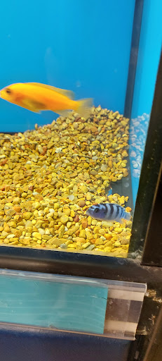 Pet Supply Store «Petco Animal Supplies», reviews and photos, 364 Randall Rd, South Elgin, IL 60177, USA