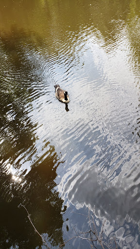 Non-Profit Organization «Dauset Trails Nature Center», reviews and photos, 360 Mt Vernon Church Rd, Jackson, GA 30233, USA