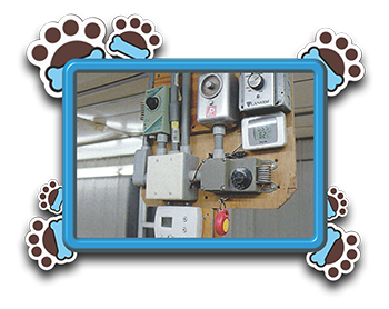 Pet Store «AA Ridgewood Kennels II», reviews and photos, 5401 Lincoln Hwy, Gap, PA 17527, USA