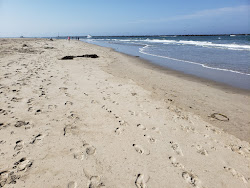 Photo de Silver Strand Beach zone des équipements