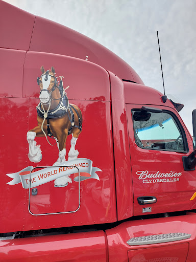 Department Store «JCPenney», reviews and photos, 11534 Parkside Dr, Farragut, TN 37934, USA