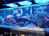 Robert's Reef - Photo 3 - Car repair in Fort Worth, TX, Fort Worth