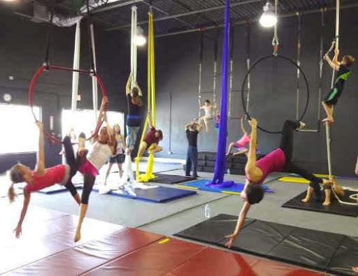 Dance School «Dance and Circus Arts of Tampa Bay», reviews and photos, 1490 N Belcher Rd, Clearwater, FL 33765, USA