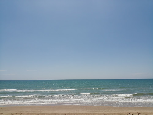 Playa Tepehuajes photo #2