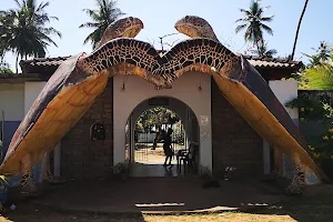 Kosgoda Turtle Conservation and Research Centre image