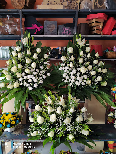 Florería Miztli