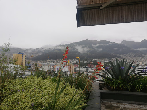 Abogados especializados siniestros Quito