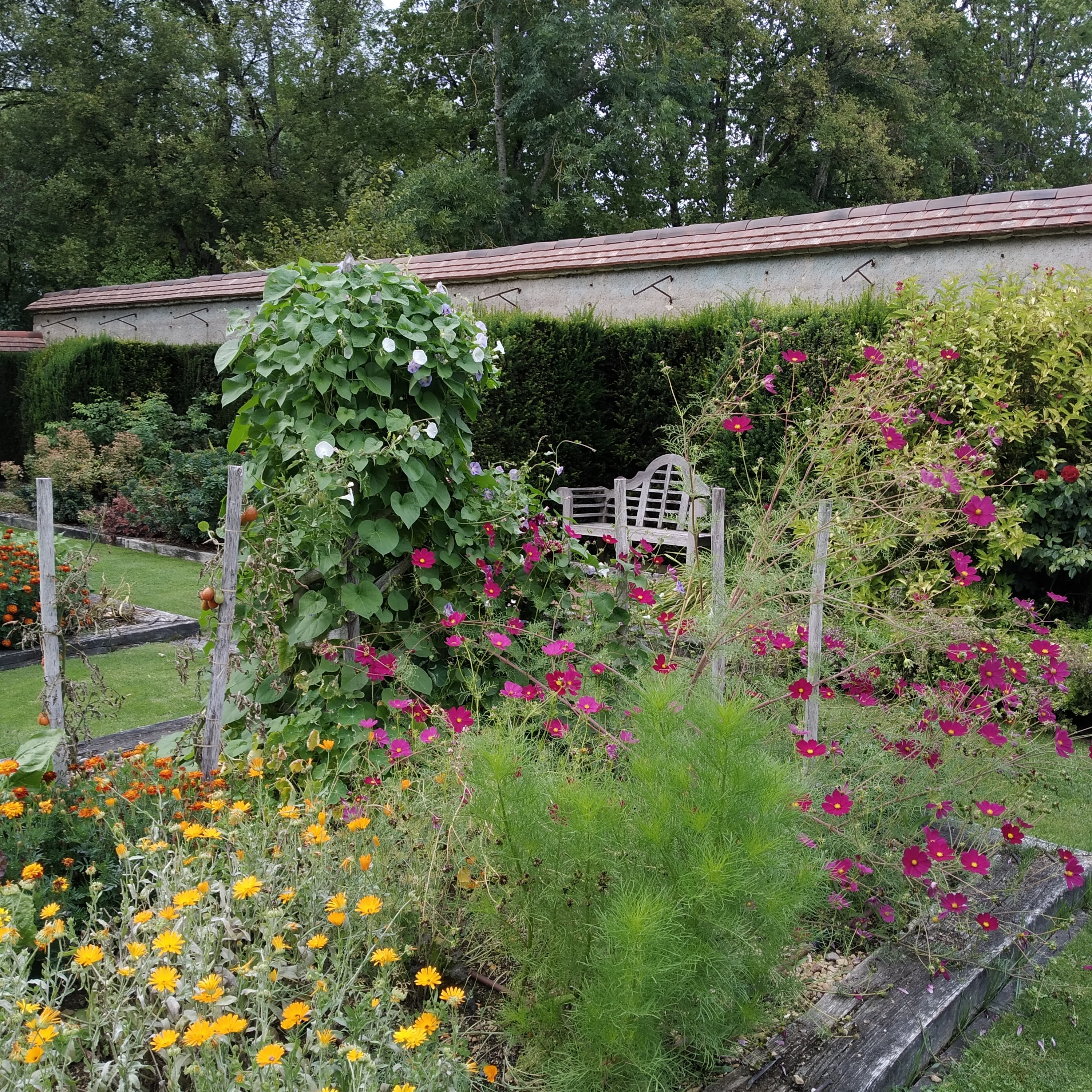 Photo n° 3 de l'avis de babeth.i fait le 17/09/2020 à 20:25