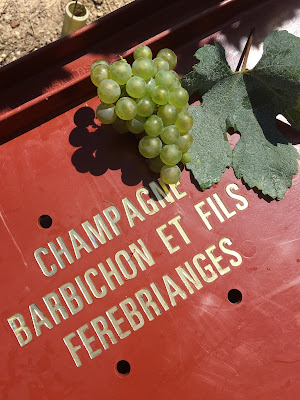 Champagne Barbichon et Fils à Fèrebrianges