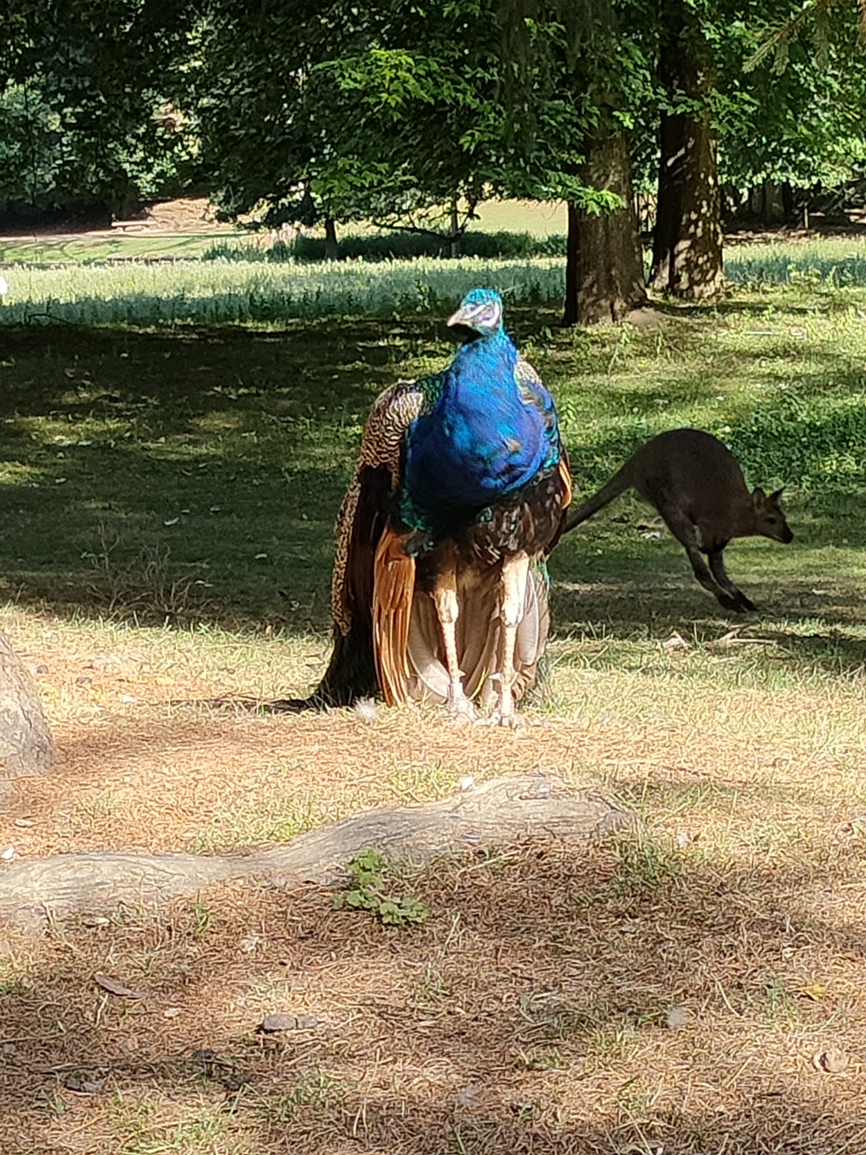 Photo n° 2 de l'avis de Gaelle.u fait le 04/08/2022 à 12:48