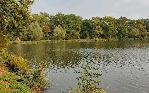 Počernický rybník image