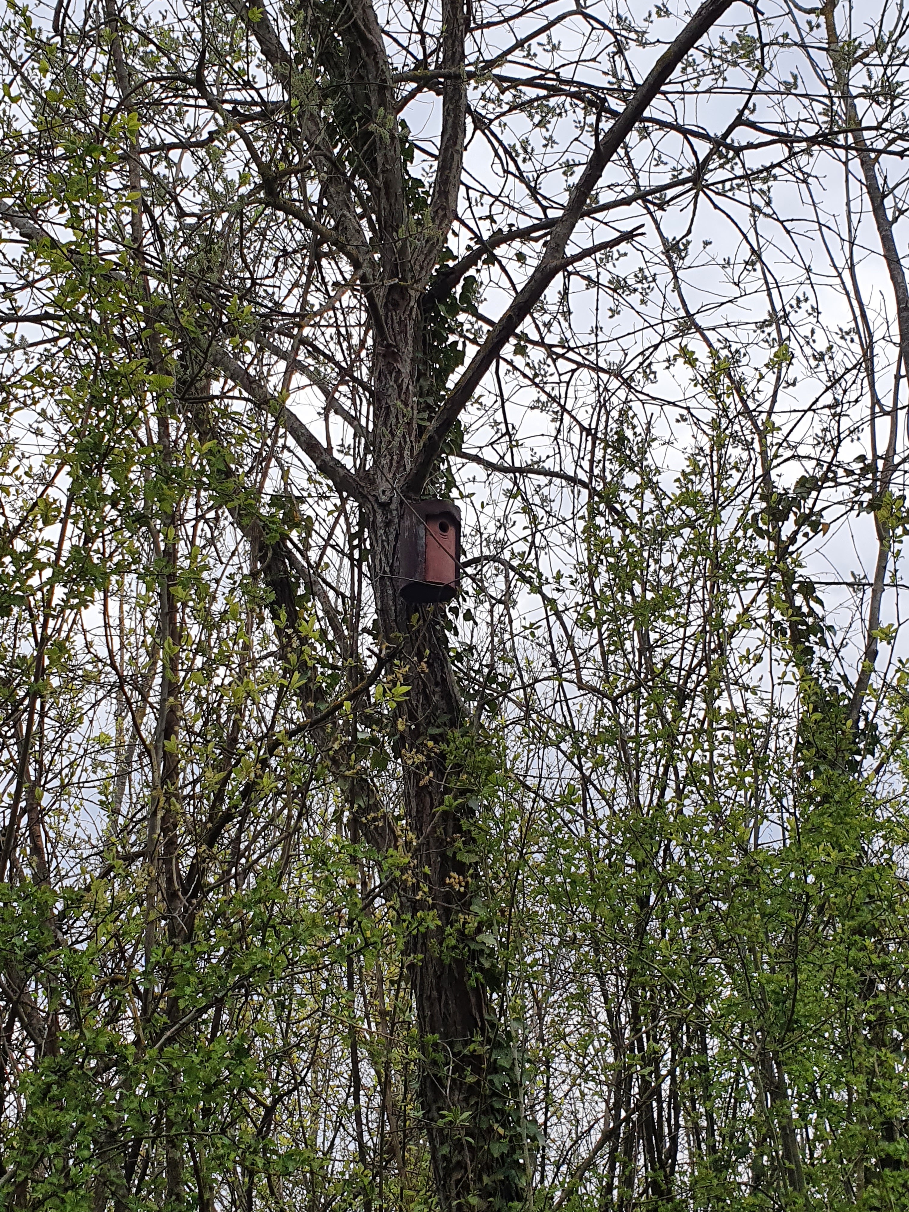 Photo n° 3 de l'avis de Bénédicte.L fait le 16/04/2021 à 17:41