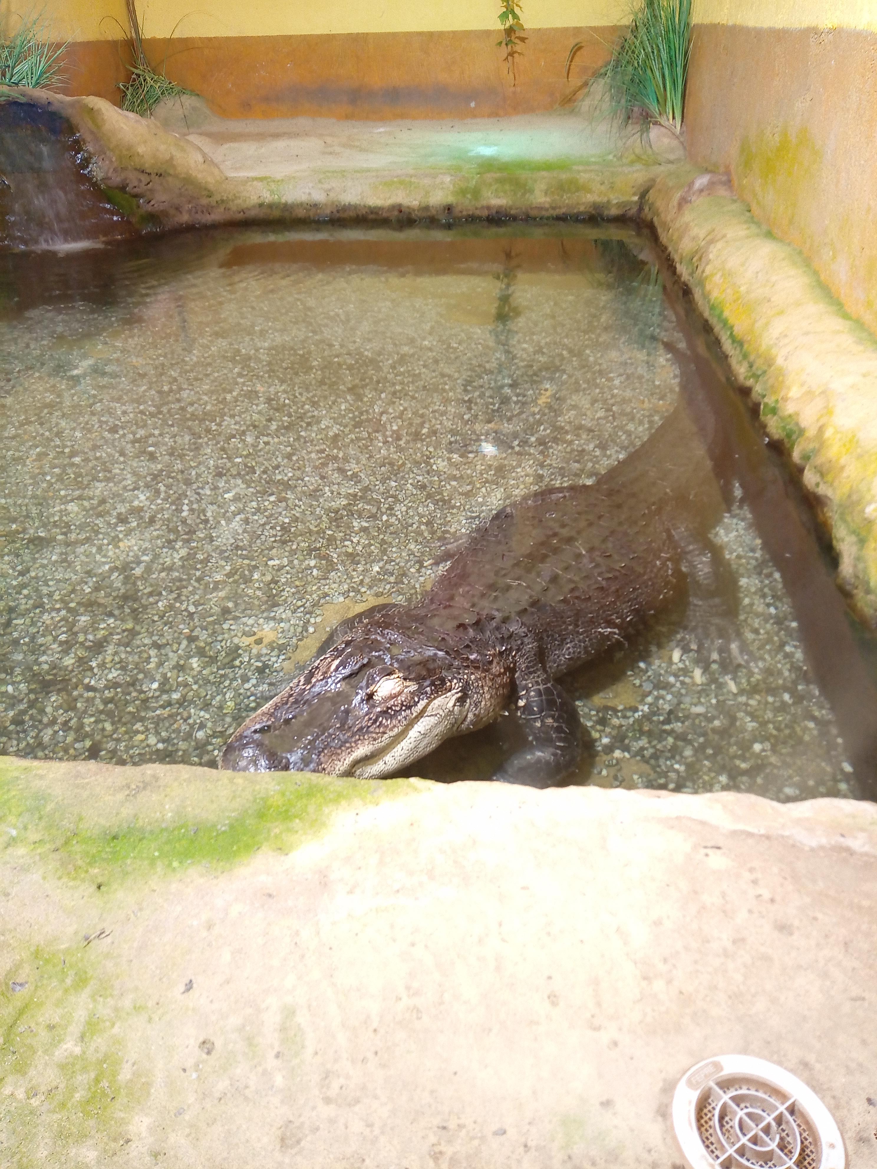 Photo n° 3 de l'avis de Fabie.o fait le 06/08/2023 à 19:12